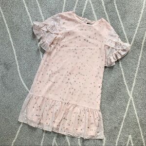 Imoga Blush Pink and Silver Chiffon Dress 10G